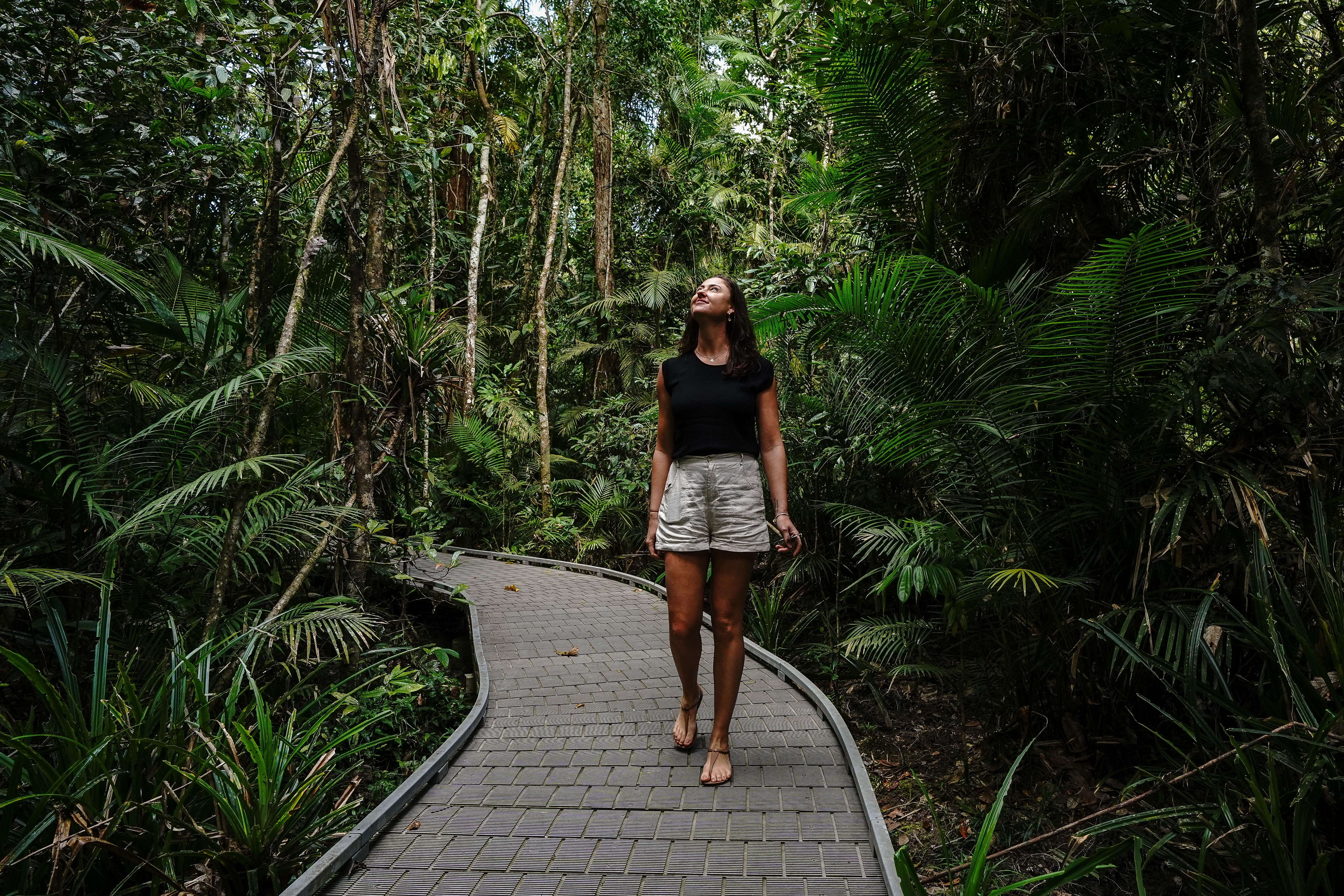 Full-Day Total Daintree Experience with Morning Tea, Lunch & Return Port Douglas Transfers 1