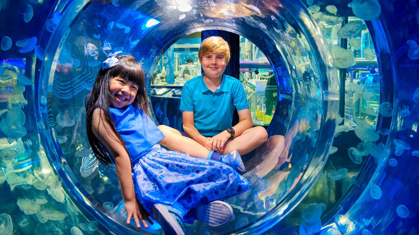 SEA LIFE Melbourne Aquarium Entry Ticket with Digital Photo Pass 2