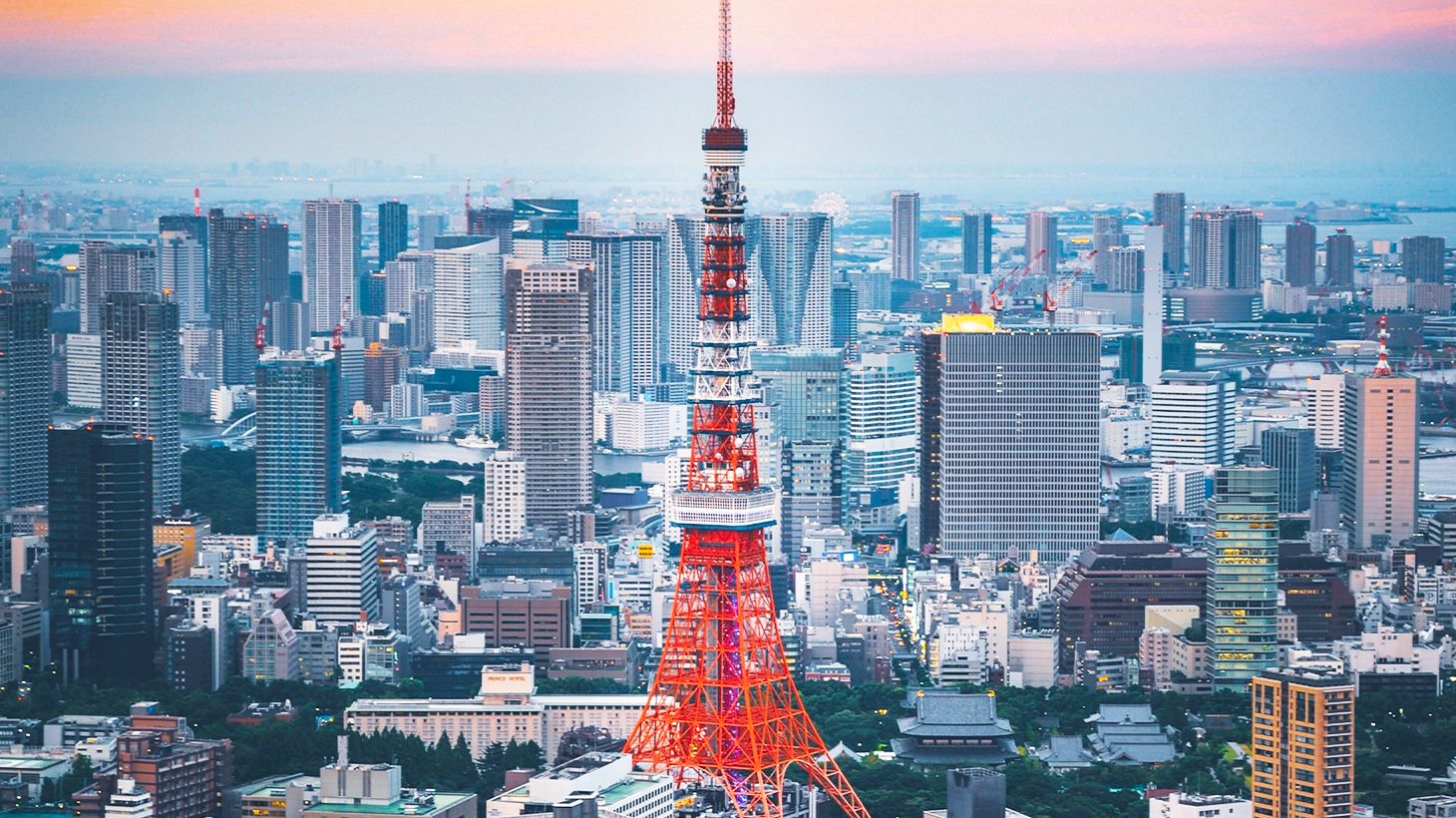 Explore Tokyo's Highlights on a Full-Day Best of Tokyo Tour with Local Guide 1