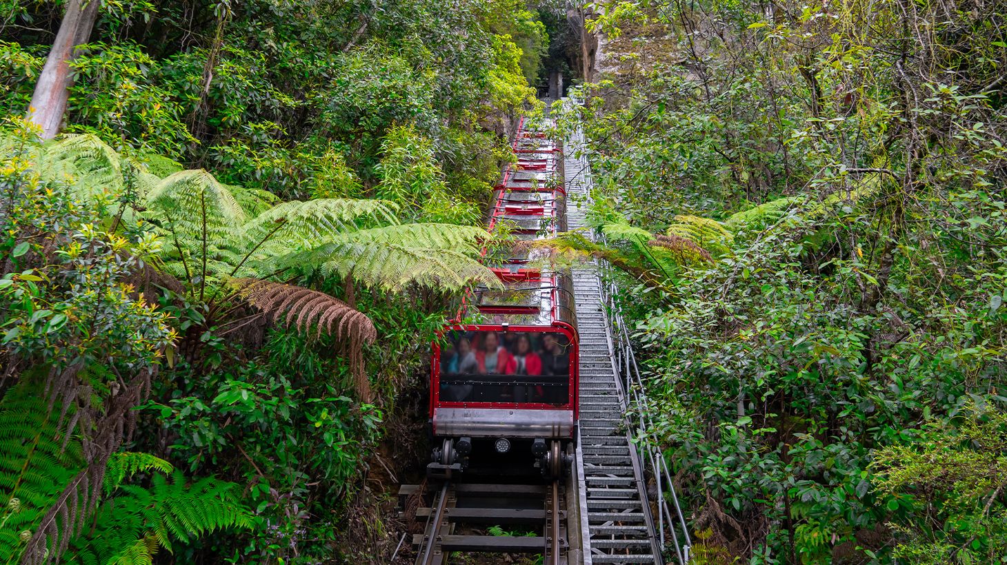 Full-Day Blue Mountains Tour with Featherdale Wildlife Park Visit, River Cruise & Three Scenic Rides 6