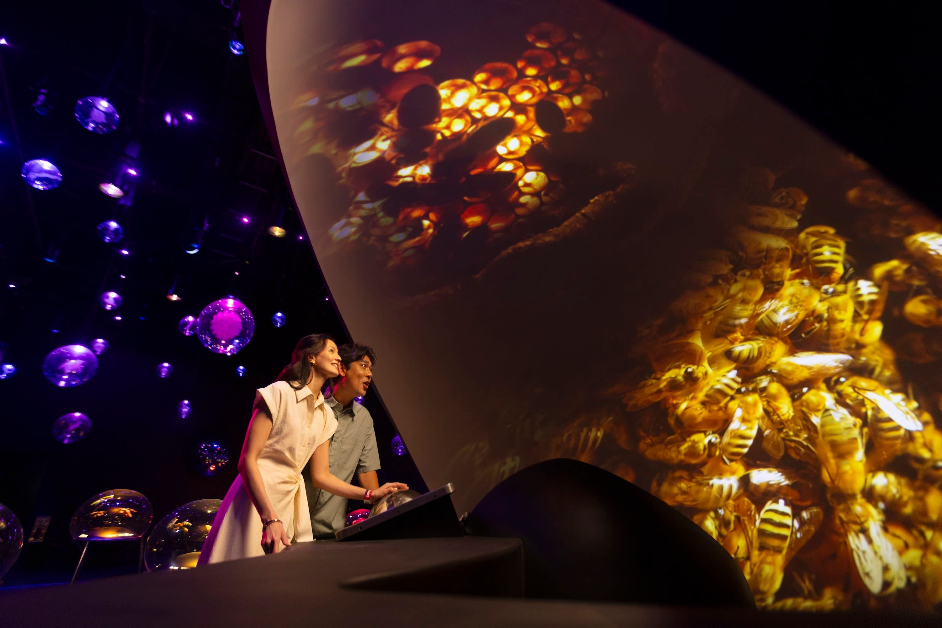 Exploria Ticket | Mandai Wildlife Reserve, Singapore