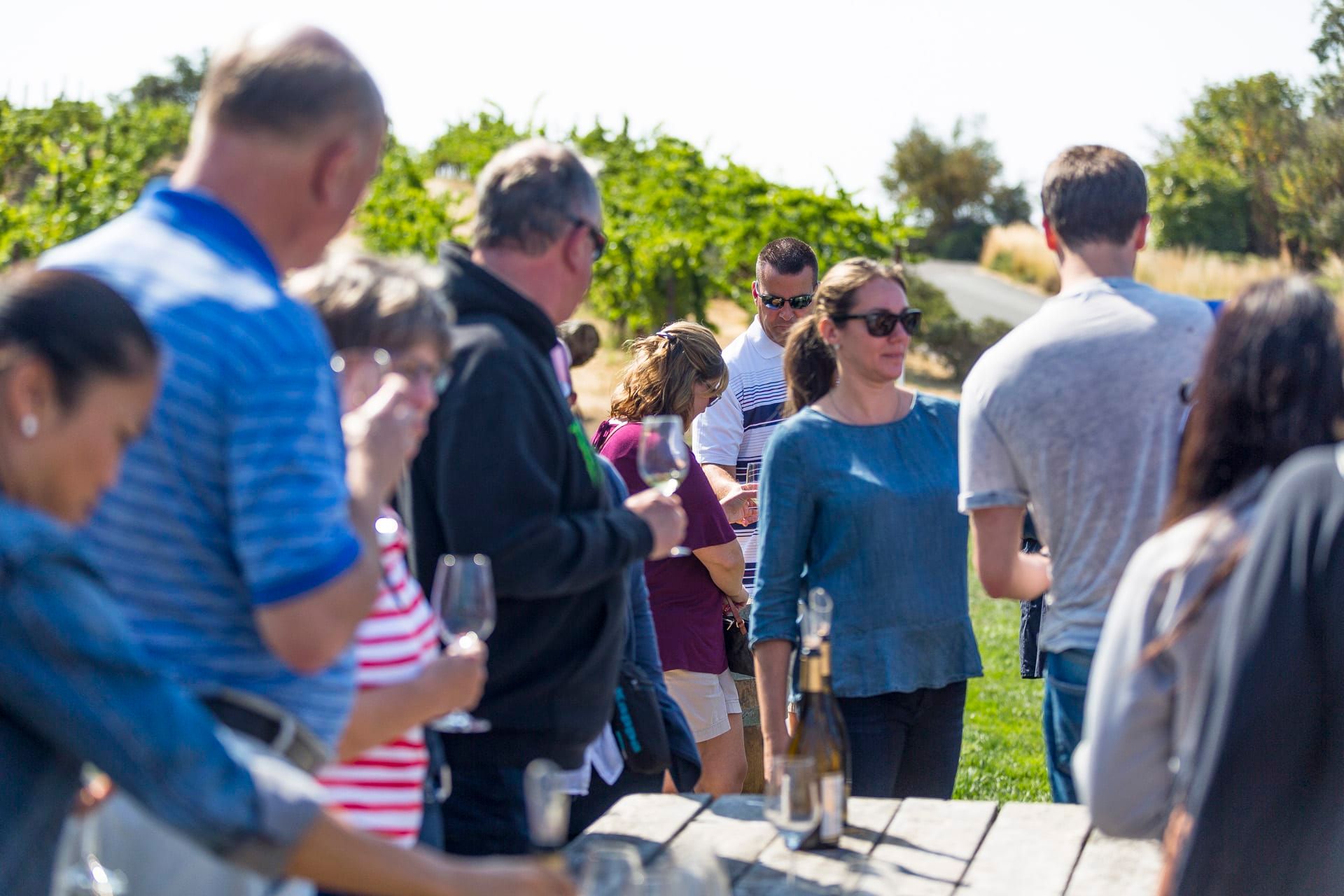 Napa Valley and Sonoma Full Day Wine Tour 8