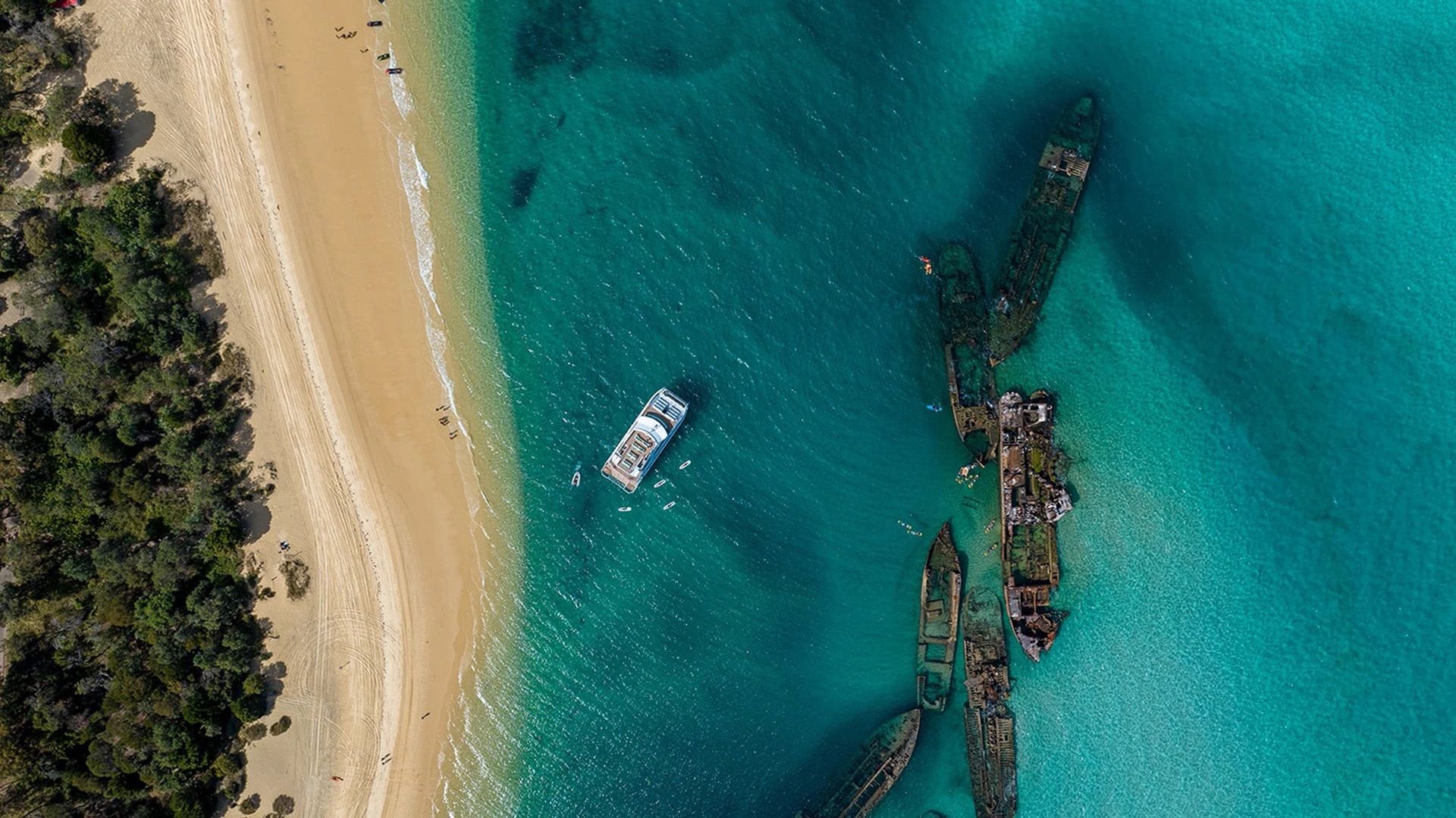 Société Triple Points: Full-Day Moreton Island Cruise with Lunch, Snorkelling & Optional Transfers Available