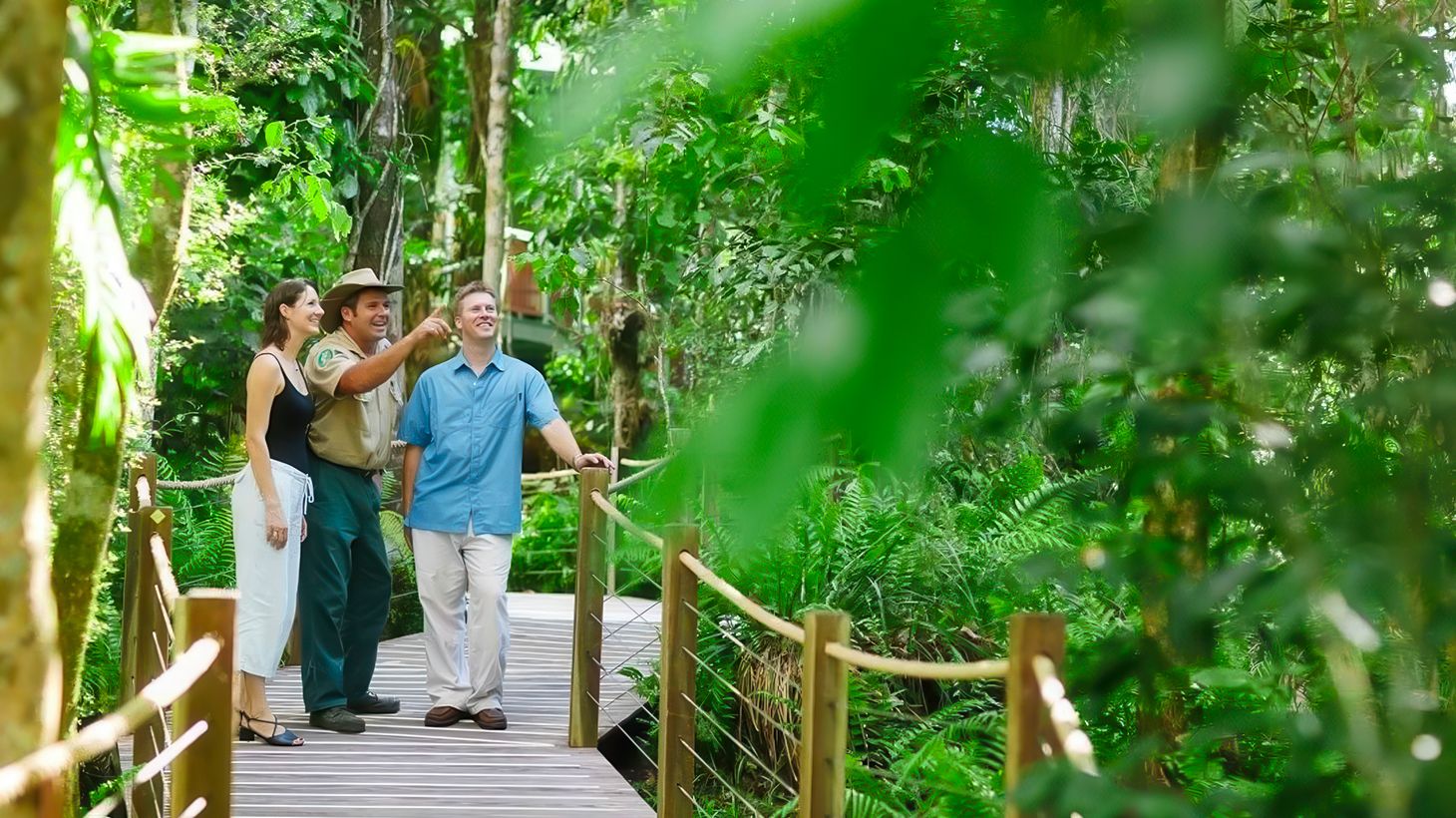 Journey through Heritage-Protected Rainforest with a One-Way Skyrail Ride & Scenic Rail Boarding Pass 3