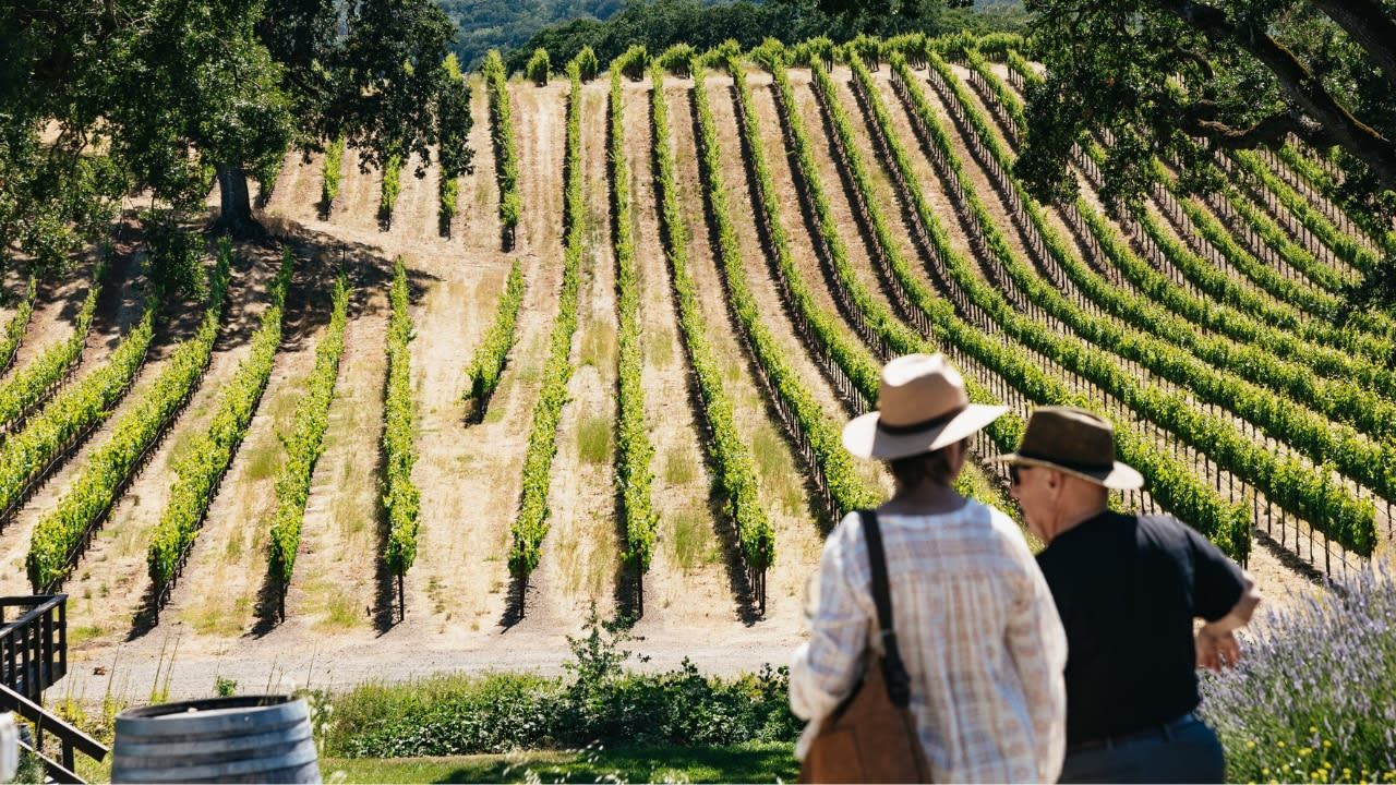 Napa Valley and Sonoma Full Day Wine Tour 4