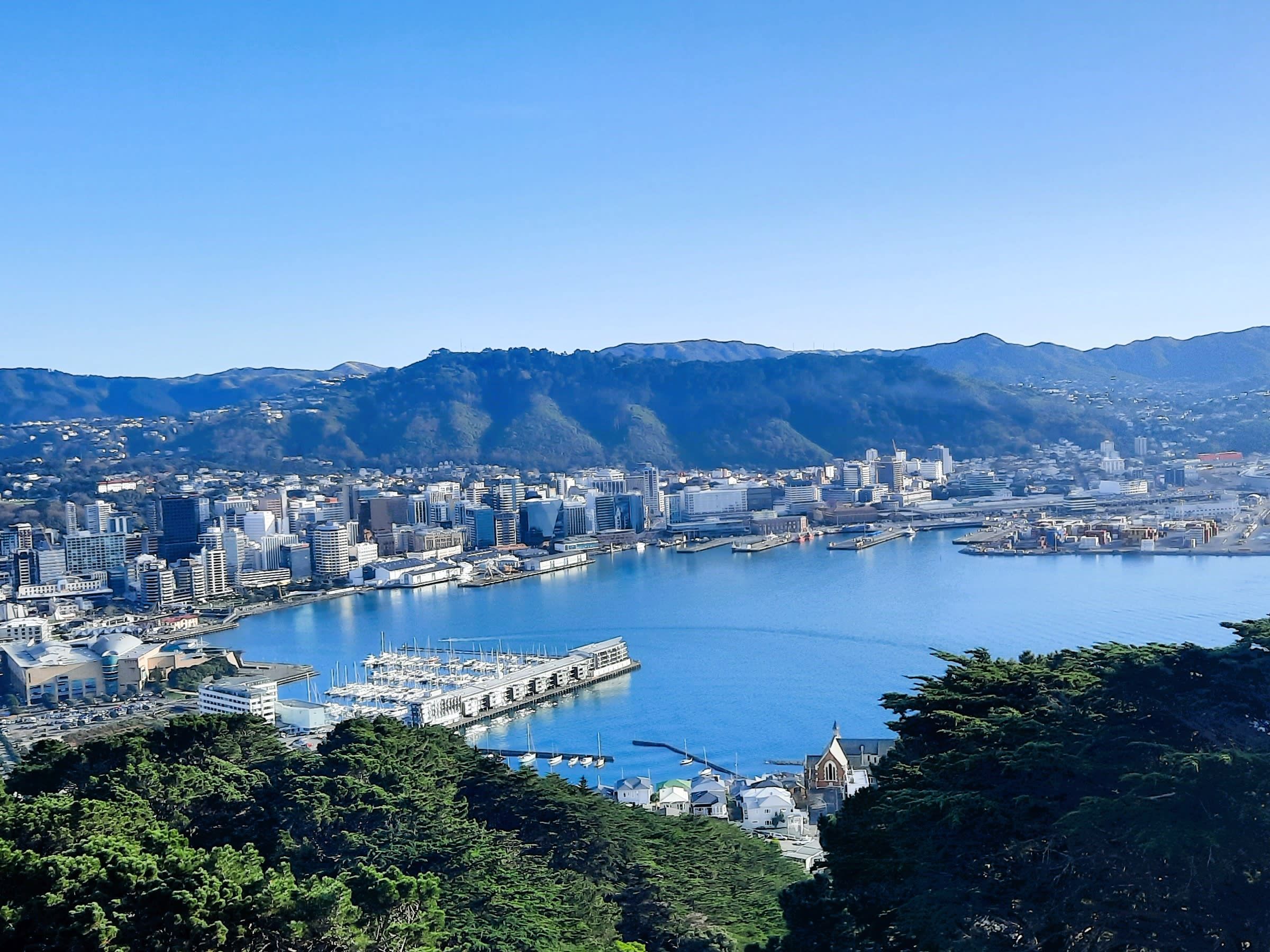 Wellington Half-Day City & Coastal Sightseeing Tour 8