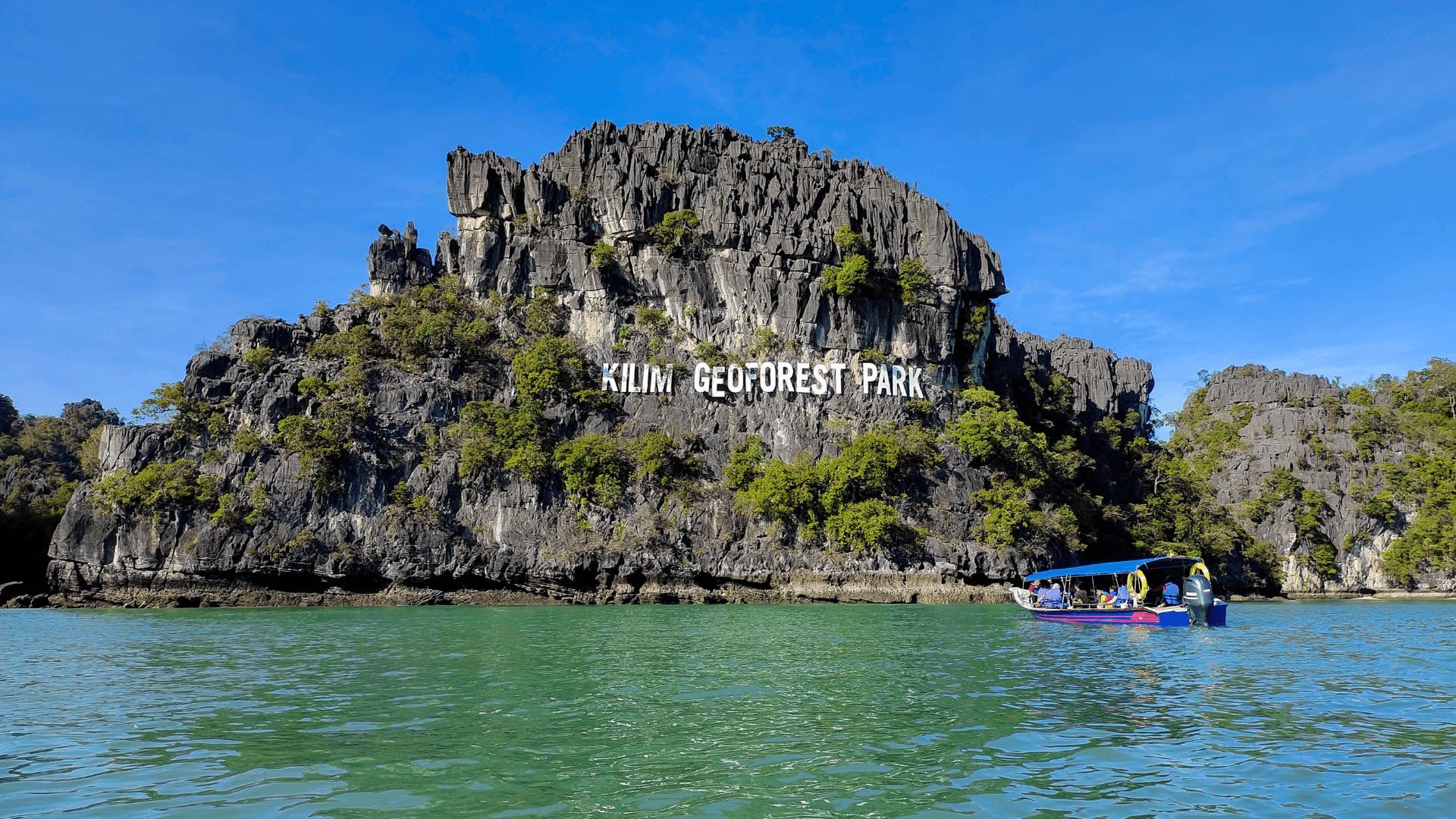 Langkawi Mangrove Tour 2