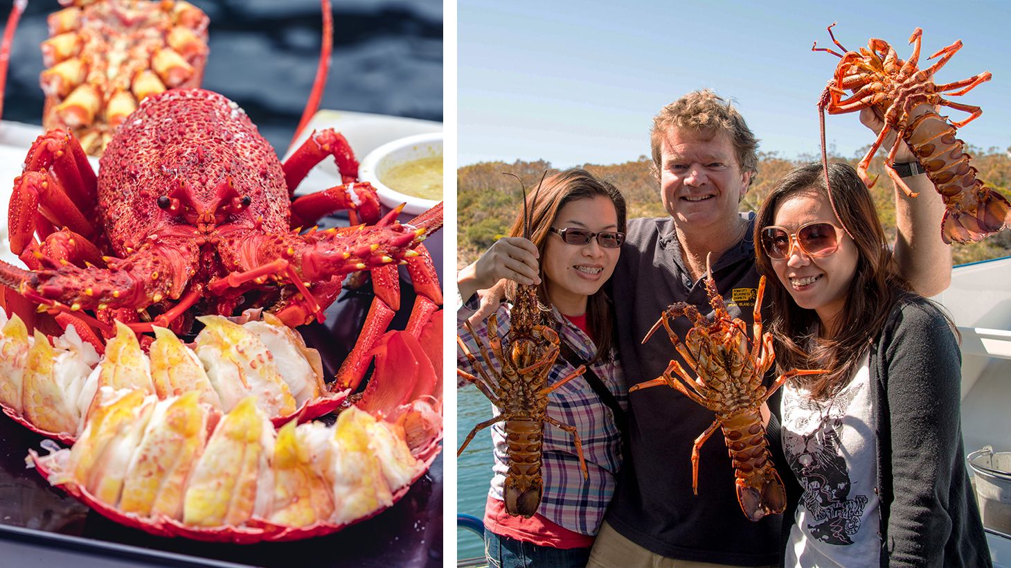 Full-Day Seafood Cruise with Freshly Caught Wild Abalone, Gourmet Lunch & Drinks 8