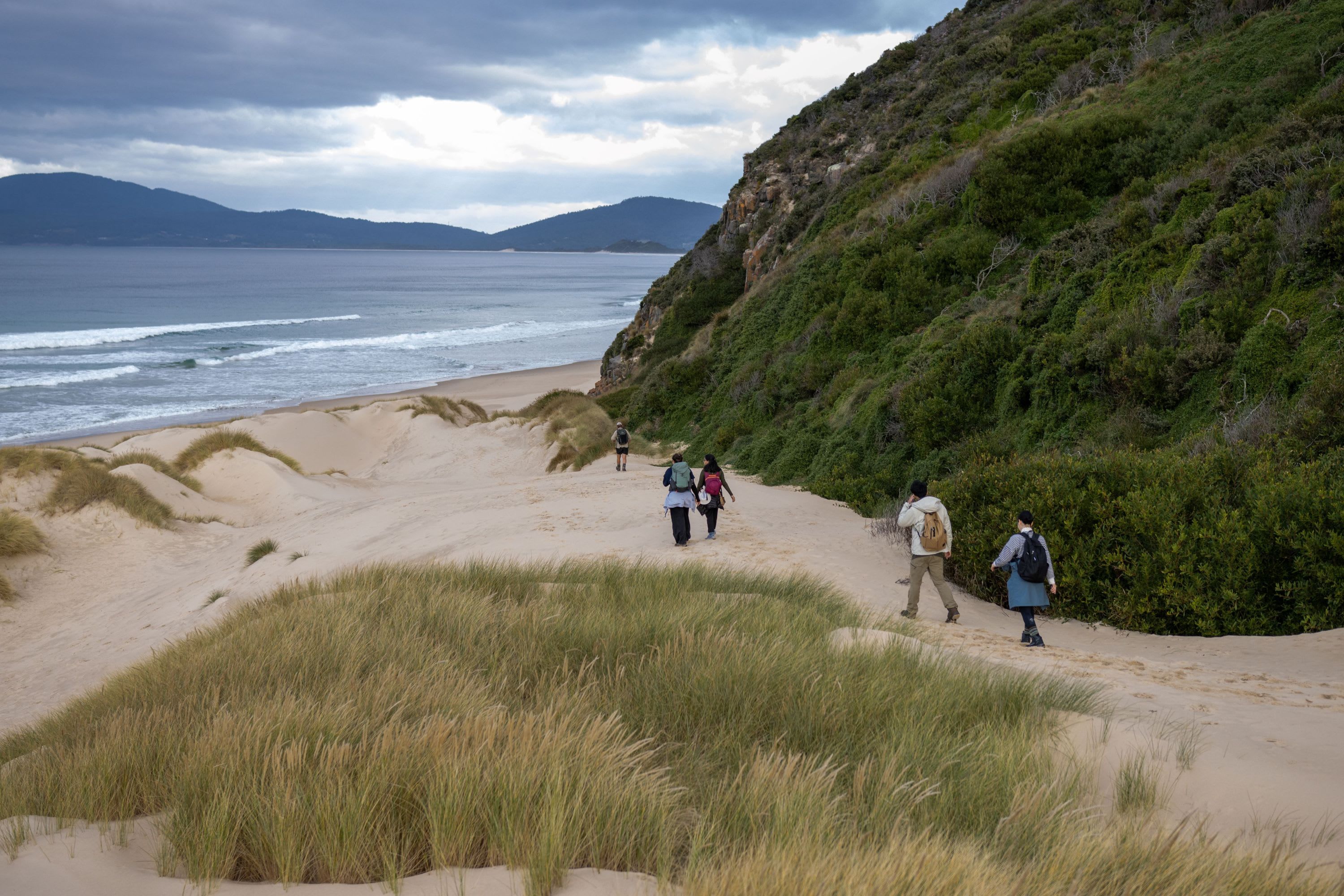 Hobart:  Bruny Island Adventure - Hike, Highlights & Tastes 6