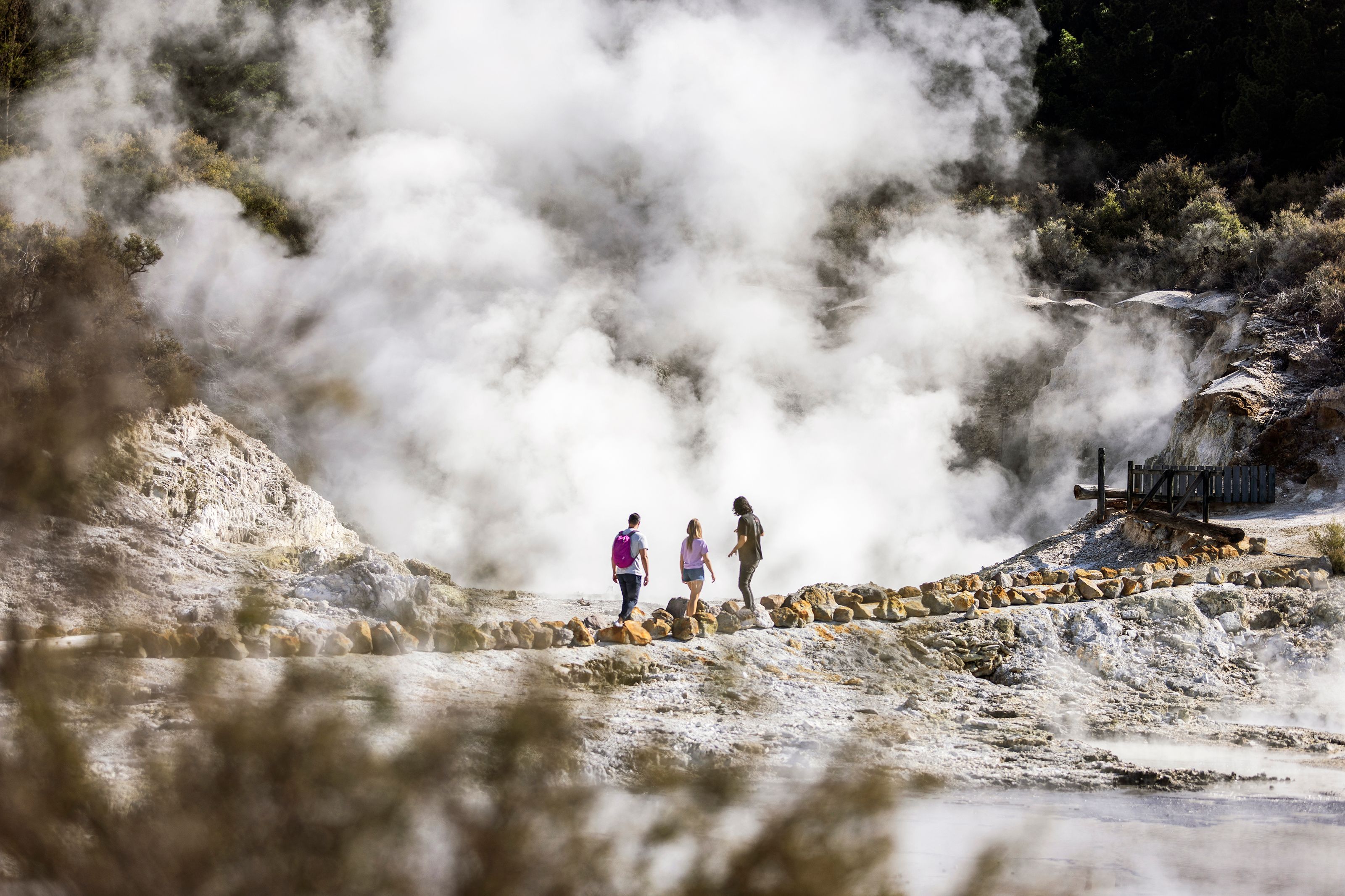 Hell’s Gate Geothermal Walk with Māori Carving, Mud Bath & Sulphur Spa Package 1