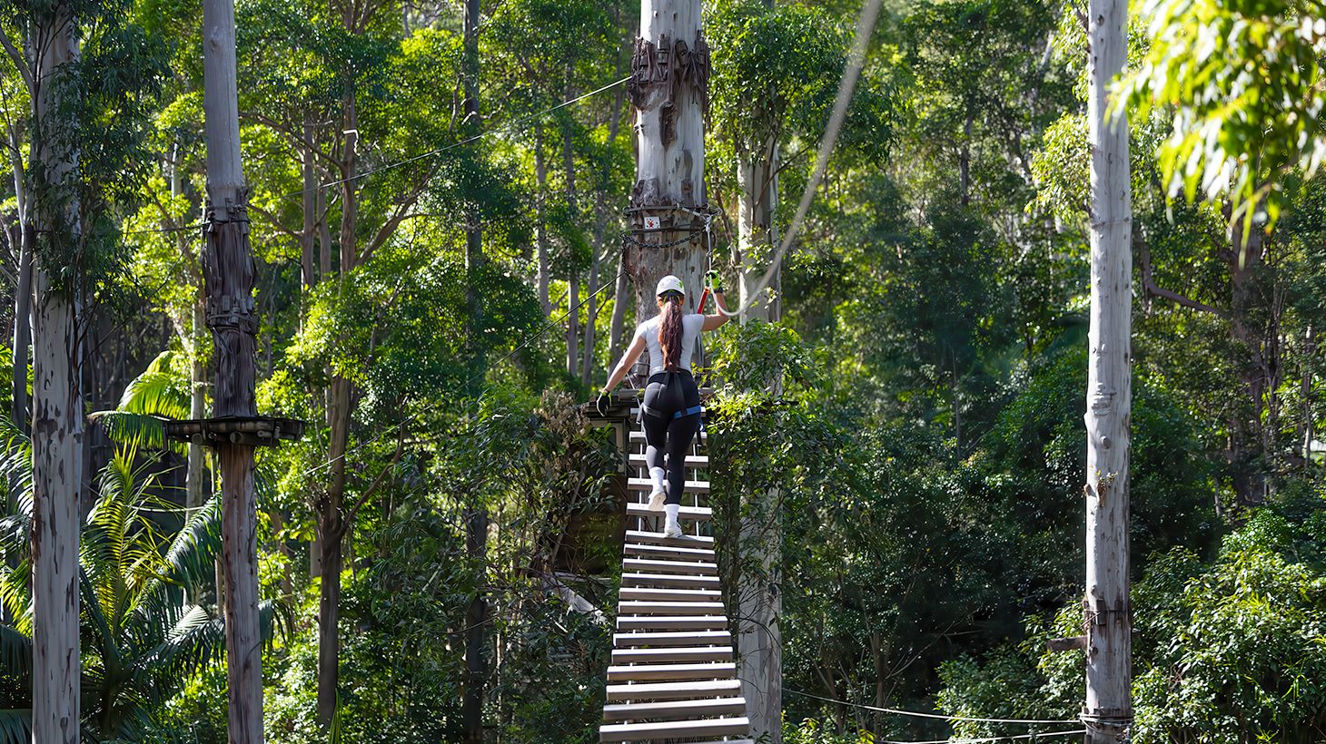 Take on Zipline & High Ropes Courses at The TreeTop Challenge at Thunderbird Park 7