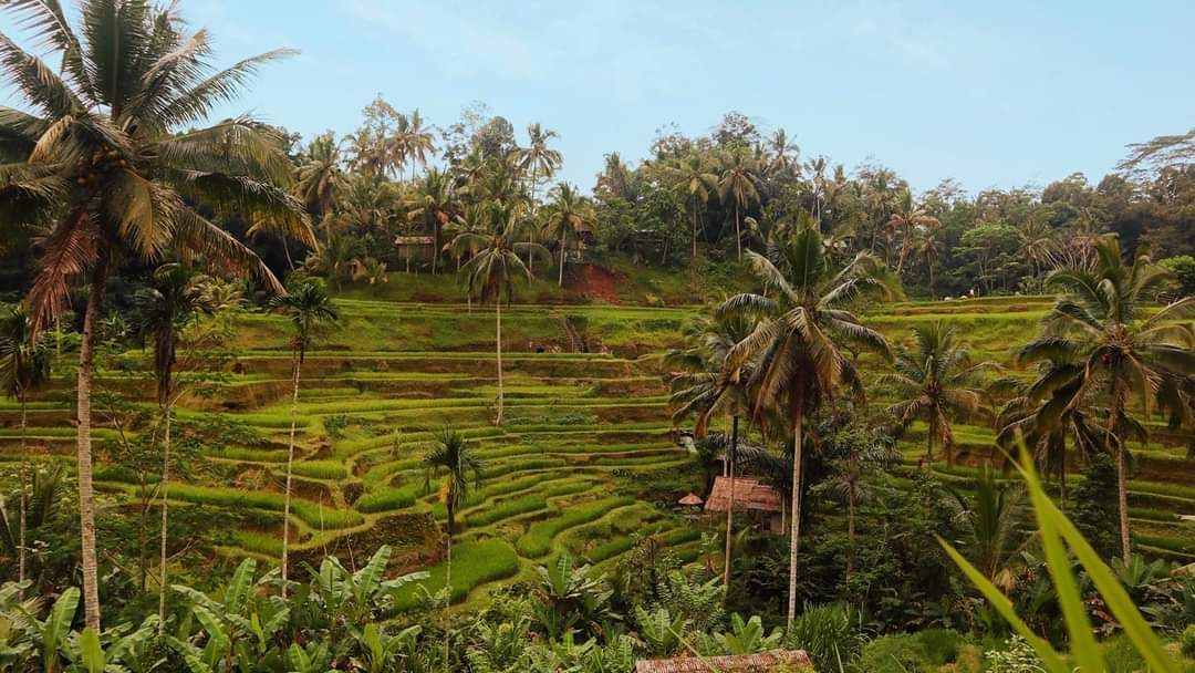 Ubud Cave Tubing Adventure in Bali 5