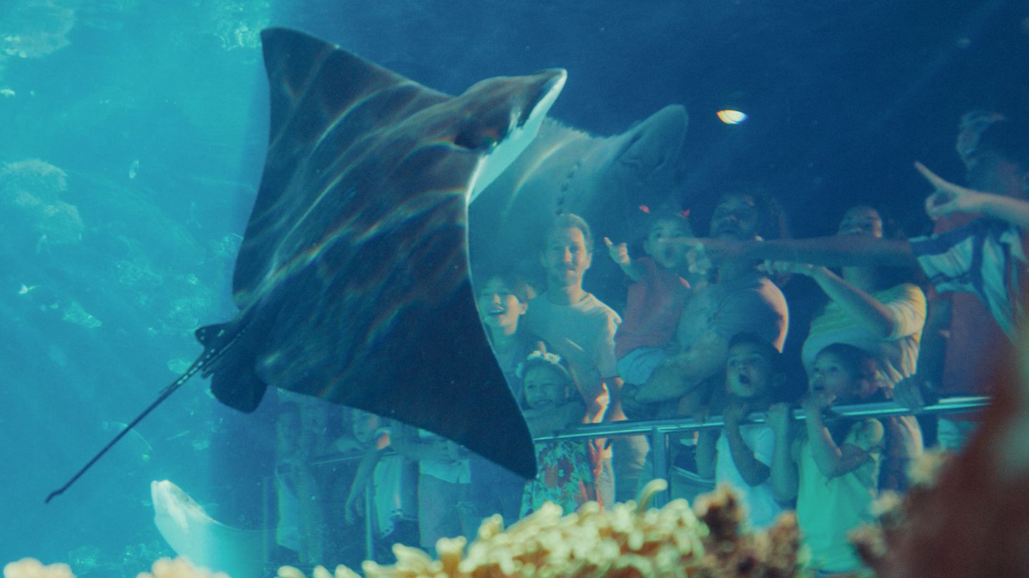 Seven-Day Multi Park Pass 8