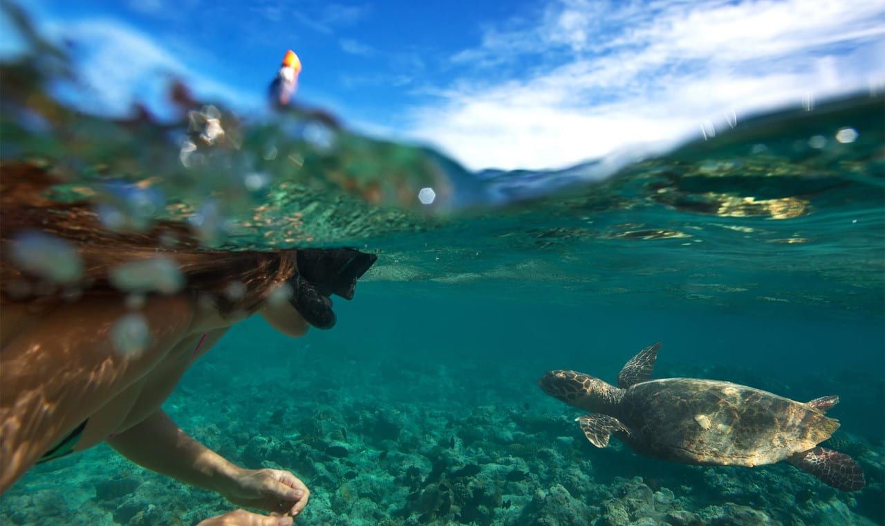 Oahu North Shore Circle Island Adventure + Swimming with Turtles