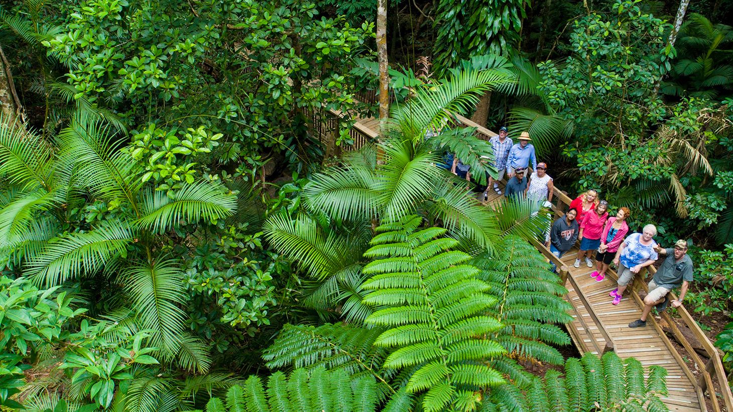 Full-Day World Heritage Highlights Tour with Helicopter Flight, Daintree River Cruise & Lunch 4