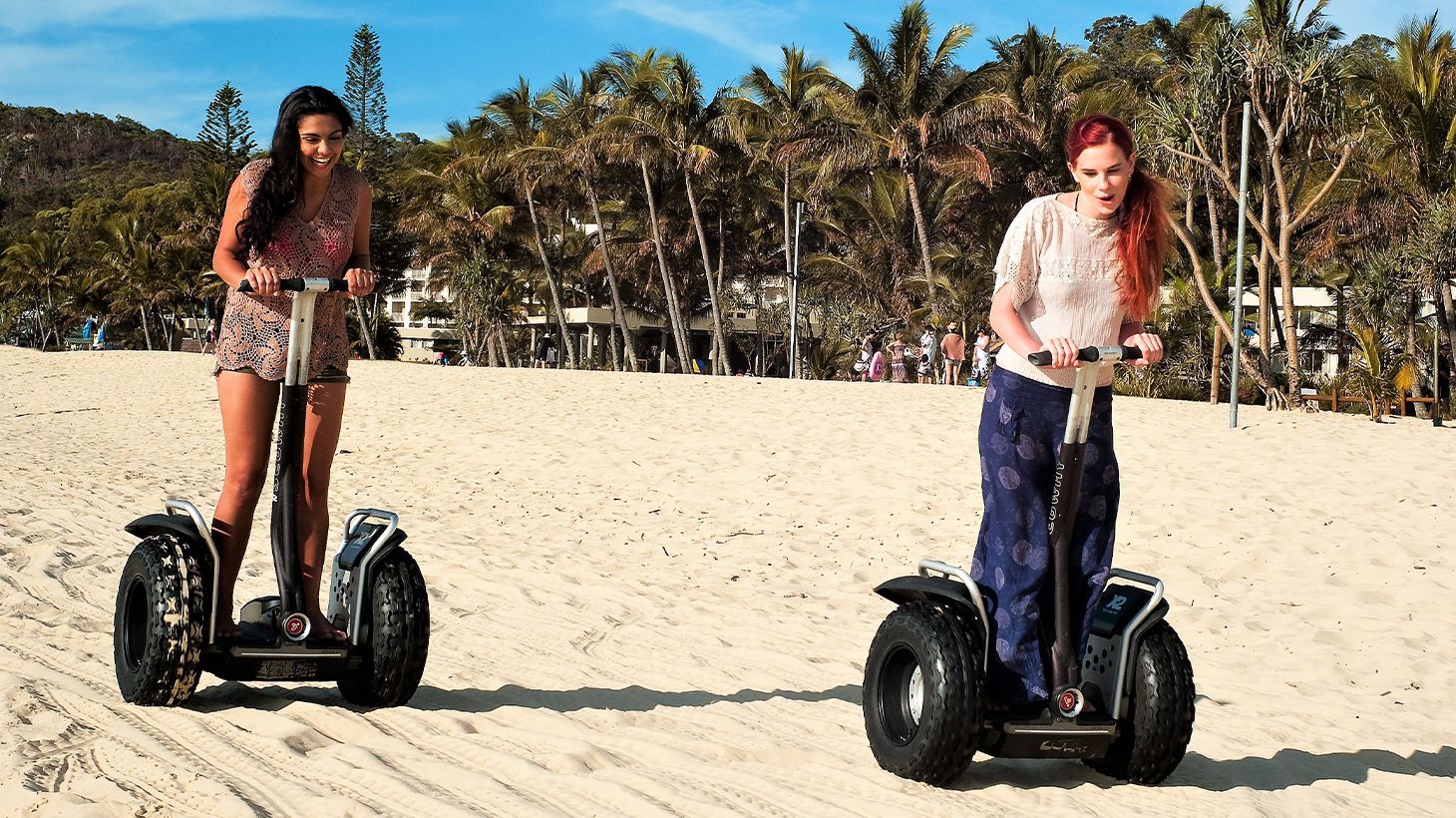 Moreton Island Tangalooma Wrecks Adventure with Three Activities & Ferry Transfers 2