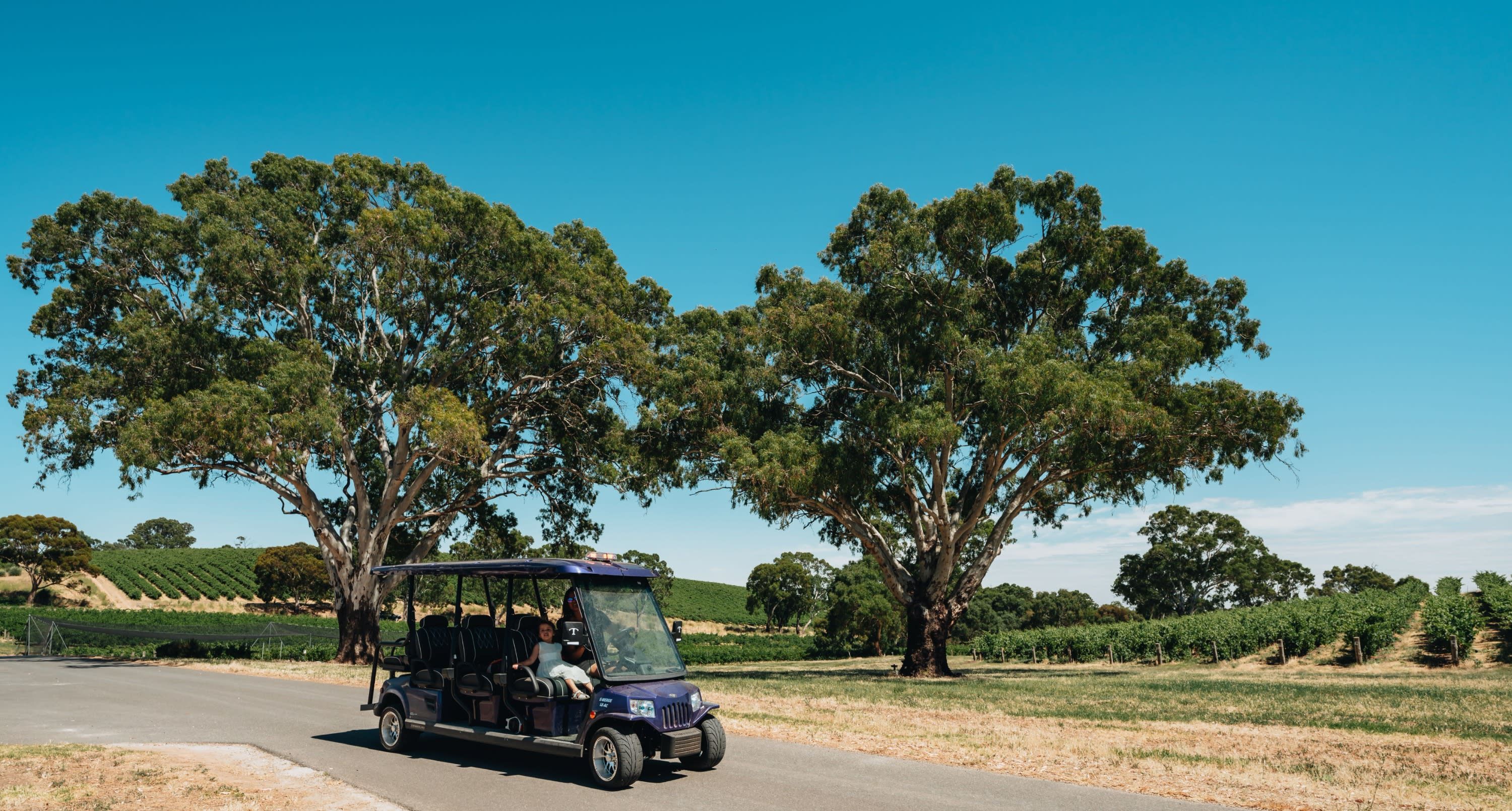 EcoVine Vineyard Explorer Guided Tour