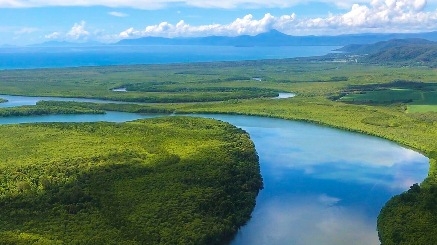 Full-Day World Heritage Highlights Tour with Helicopter Flight, Daintree River Cruise & Lunch 8