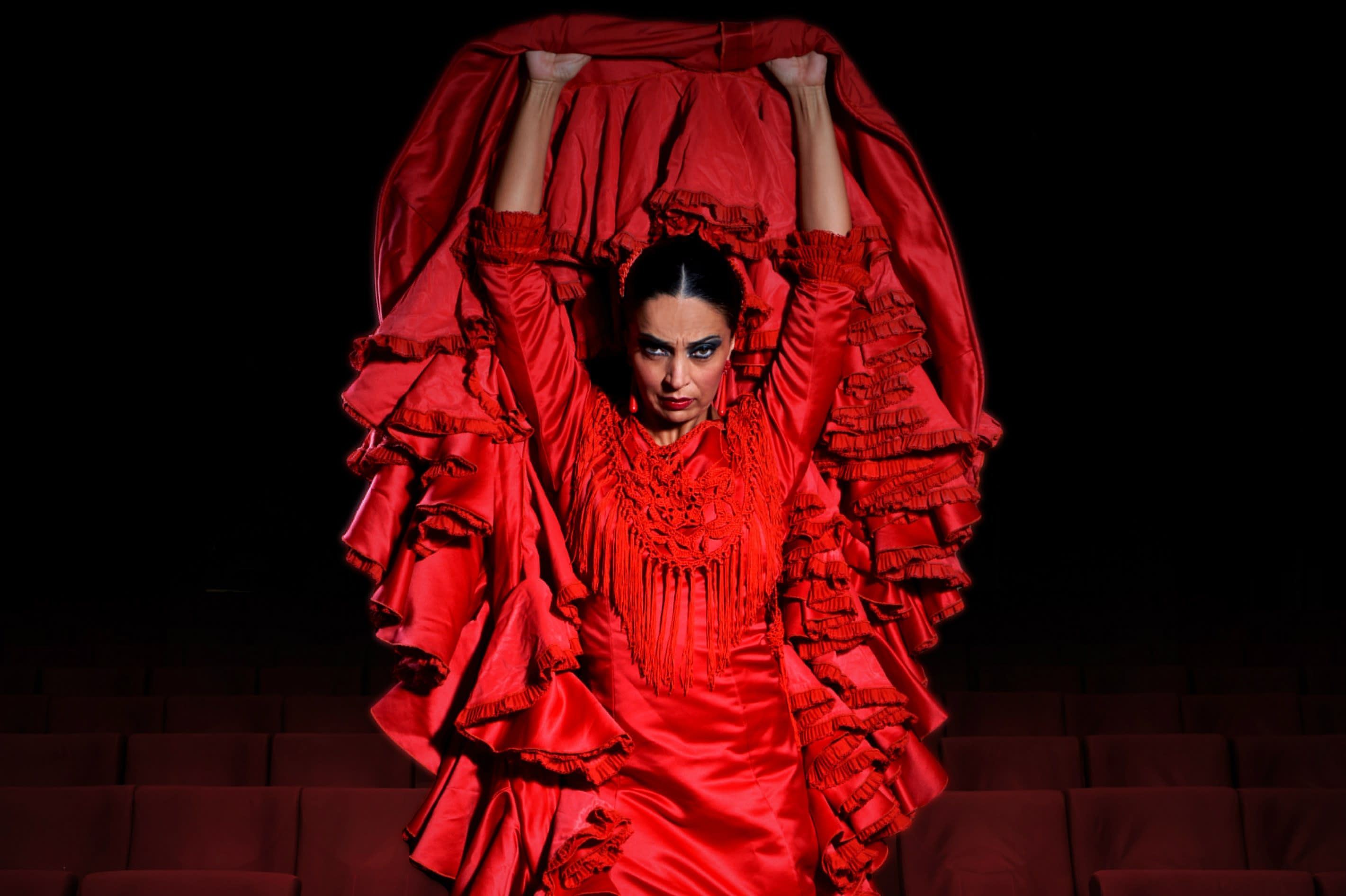 Spectacle de flamenco Emociones à Madrid