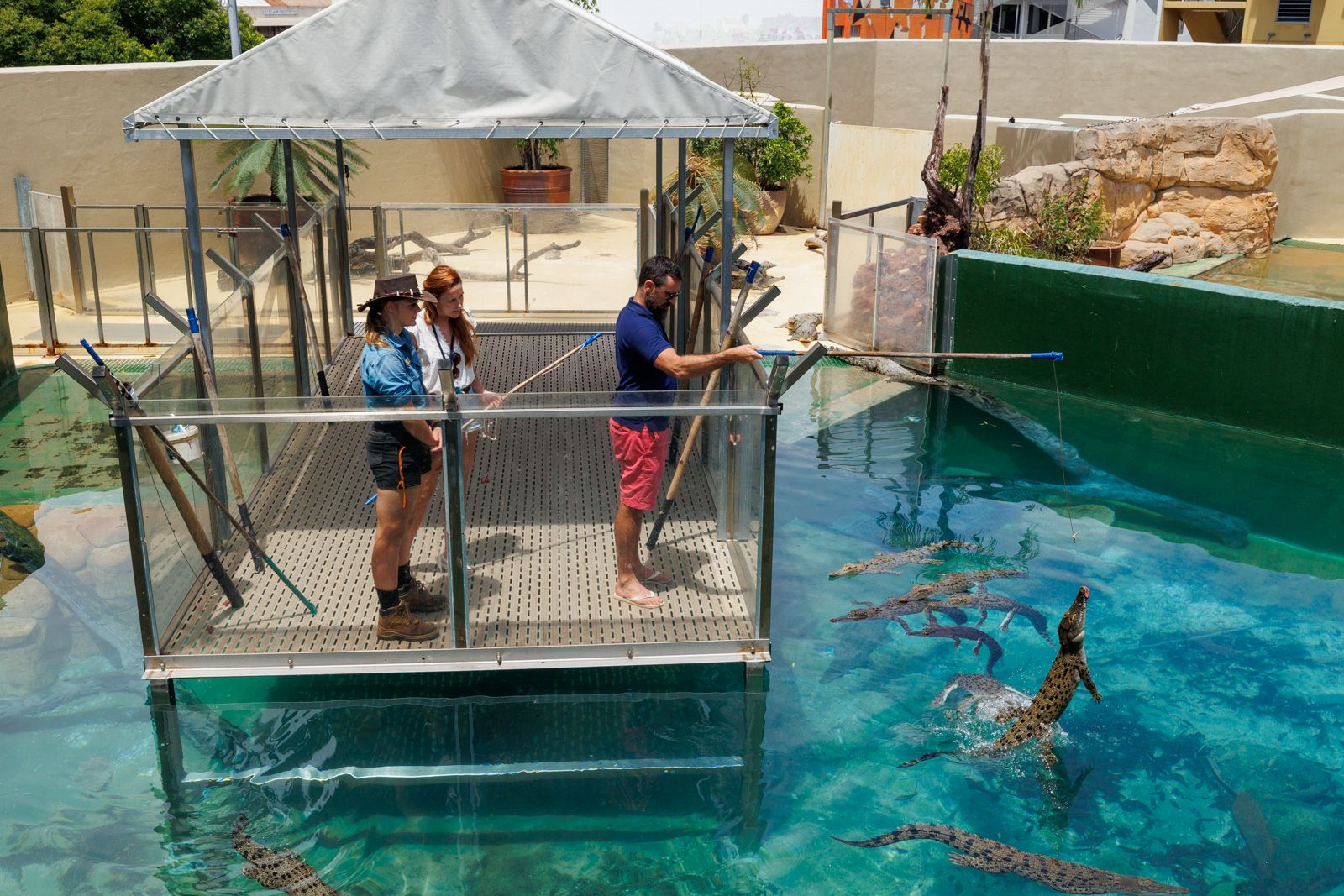 Full-Day Entry to Crocosaurus Cove with VIP Crocodile Feeding Experience & Guided Tour 1