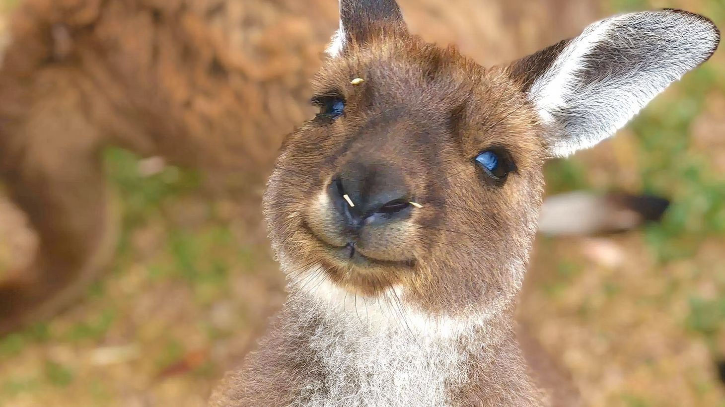 Full-Day Oysters, Ocean & Nature Tour with Tastings & Return Transfers 6