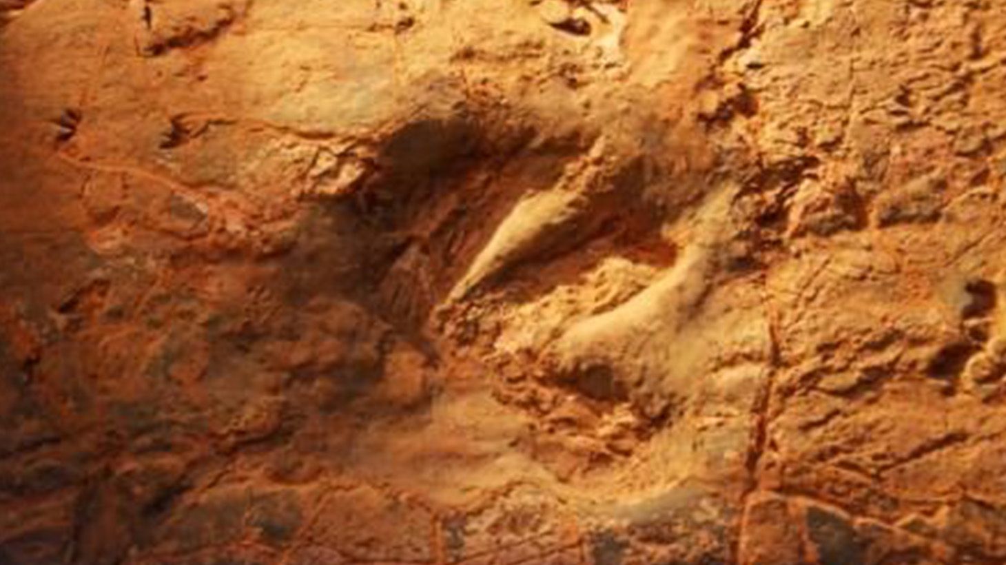 Winton Outback Dinosaur Adventure with Lunch & Return Transfers 5