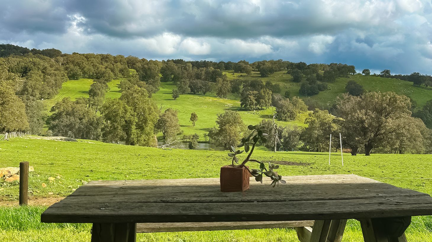 1.5-Hour Adventure Horse Ride with Grazing Platter & Glass of Wine in Jarrahdale 5
