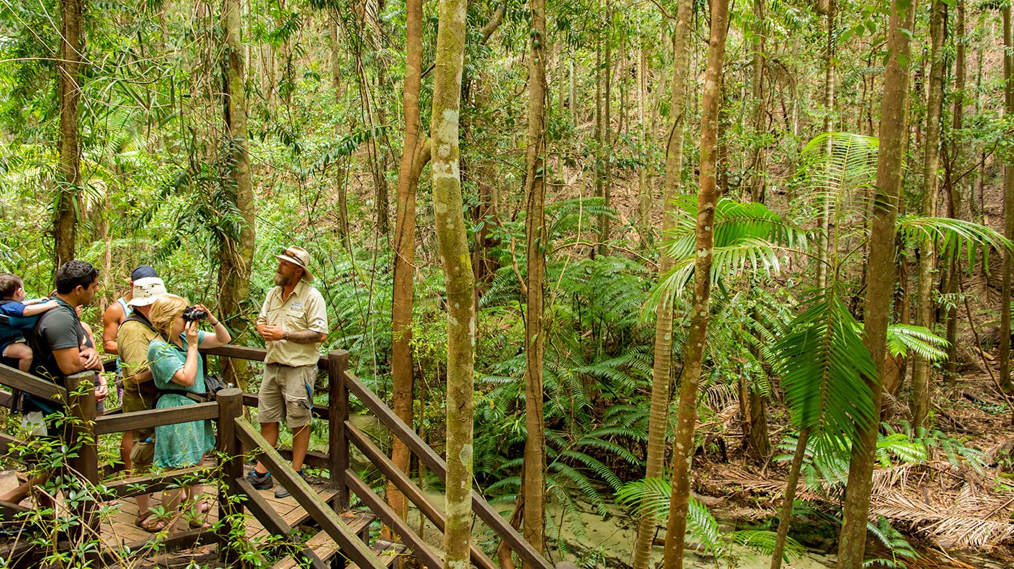 Full-Day 4WD Coach Tour of K'gari (Fraser Island) with Lake McKenzie, 75 Mile Beach, Eli Creek, Lunch & Ferry Transfers 3