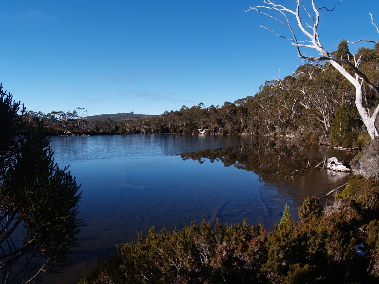 Immerse Yourself in Spectacular Forests on a Full-Day Mount Field National Park Tour with Return Transfers 6