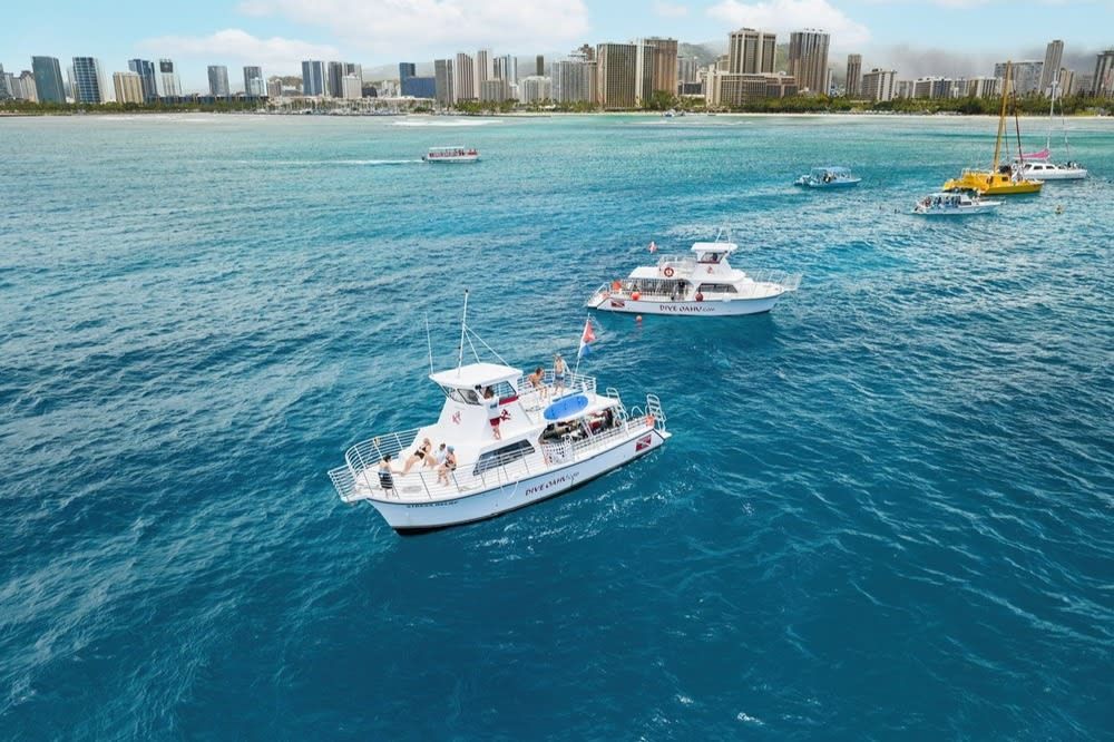 Turtle Canyon Adventure - Snorkeling Boat Tour in Oahu