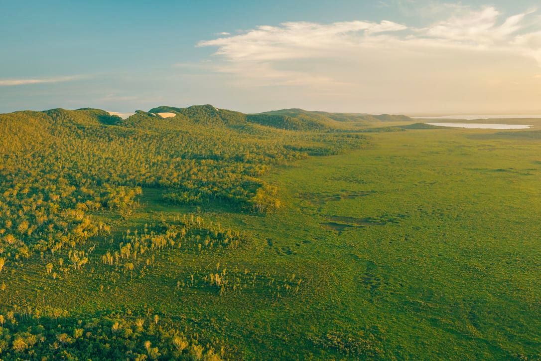 Noosa Half-Day Everglades Serenity Cruise