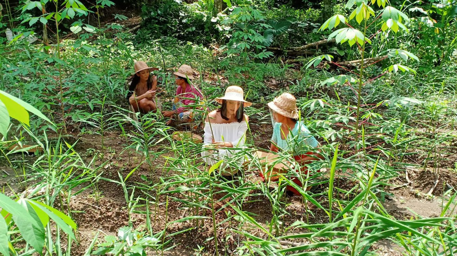 Magical Evening Ubud Fireflies Experience with Balinese Set Menu Dinner