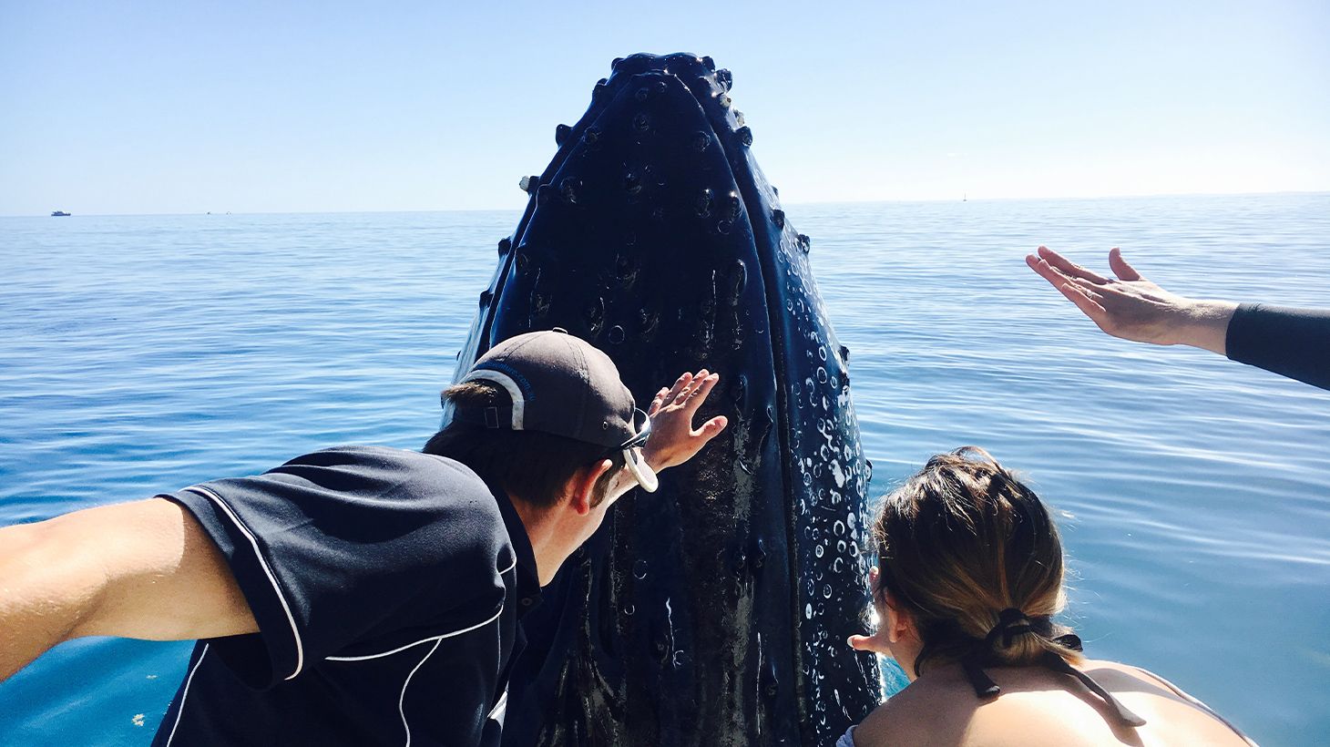 Full-Day K'gari (Fraser Island) Cruise with Return Hotel Transfers & Buffet Lunch 7