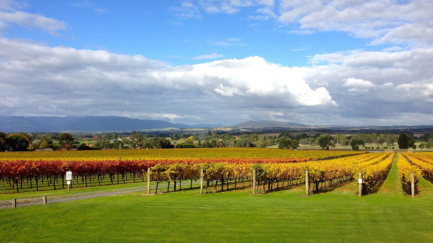 Yarra Valley Winery Cellar Door Experience | Scoopon