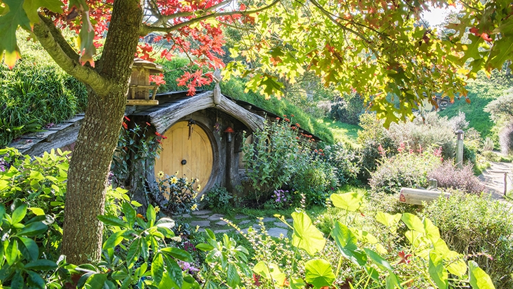 promo code for hobbiton tours