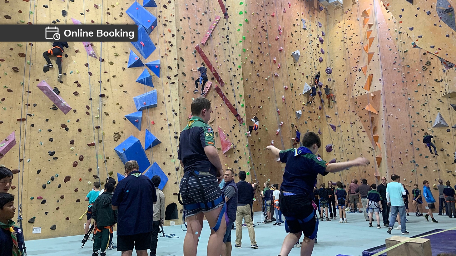 Indoor Rock Climbing Pass with Equipment in Villawood from Sydney