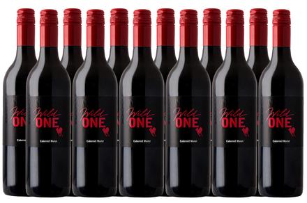 12 Bottles of 2018 'Wild One' Cabernet Merlot
