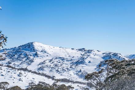 Sydney: One-Day Perisher Snow Tour with CBD or Parramatta Pick-Up