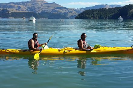 Wildlife Sea Kayaking in Akaroa for Two People