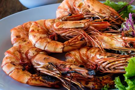 Three-Course Christmas Day Lunch with Beverage Package Upgrades in Macquarie Park