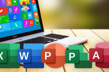 Microsoft Office 2019: Essential Online Training Bundle