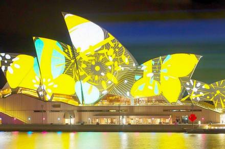 Sydney: See the Spectacular City Light up on a Vivid Sydney Harbour Cruise with Drink on Arrival