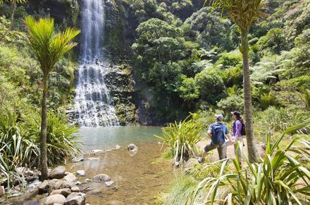 Luxury Tours Across Auckland, West Coast, Maori Highlights or Coast to Coast 