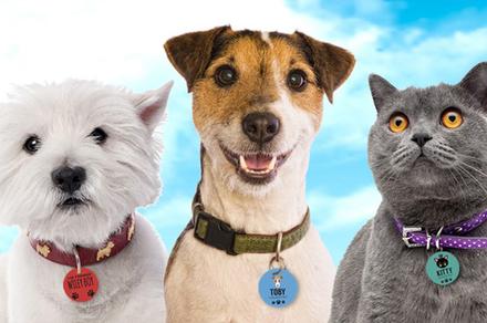 Personalised Pet Tags for Furry Friends