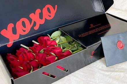 Valentine's Day Premium Red Roses Delivered 