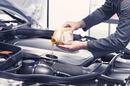 Comprehensive Service with Oil and Filter Change in Lower Hutt