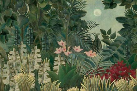 Mid Age Forest Garden Wall Mural