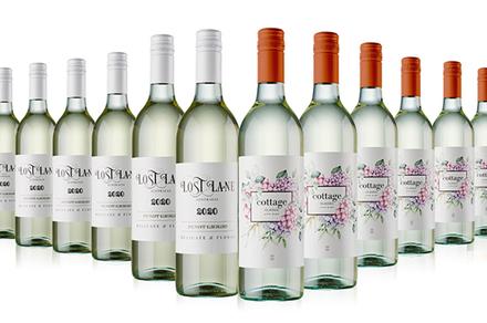 12 Bottles of Mixed Pinot Grigio