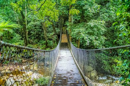 Sydney: Full-Day Kiama Coast Small Group Tour & Nature Walks with Lunch & CBD Transfers