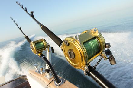 Catch a Six-Hour Deep Sea Fishing Experience in Rose Bay